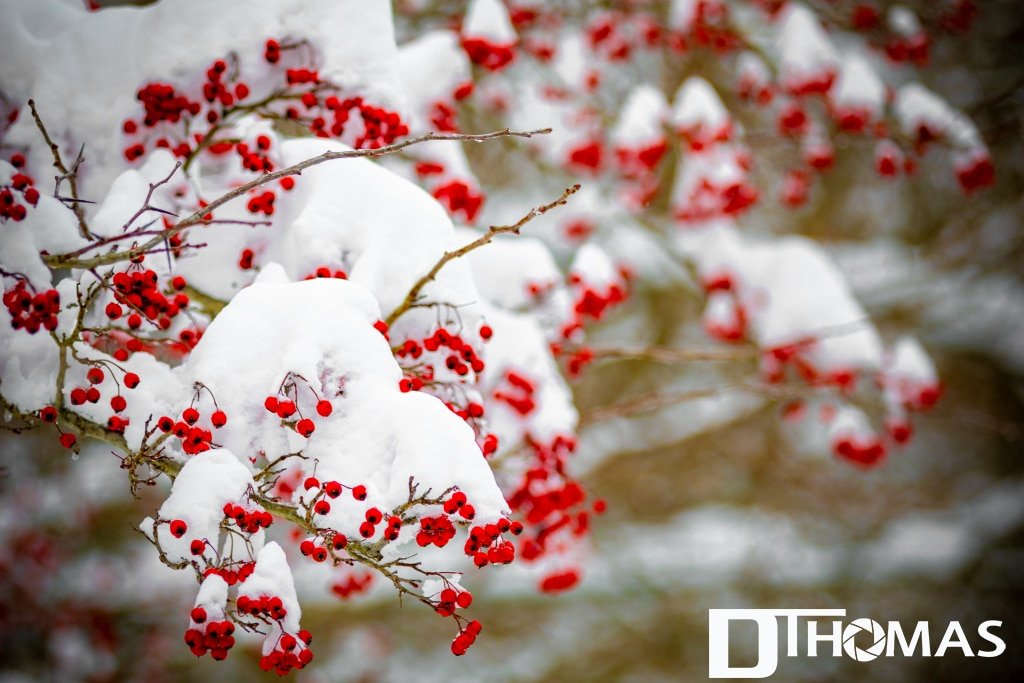 Week4-2022 Week4-2022