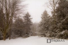 Feb21-4