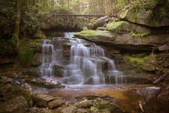 MG_8273-Edit