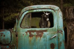 In The Drivers Seat