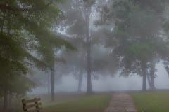 Fog at Grandview